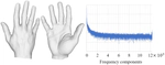 High Fidelity 3D Hand Shape Reconstruction via Scalable Graph Frequency Decomposition